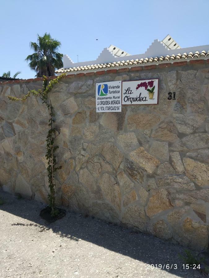 La Orquidea Morada Villa Conil De La Frontera Buitenkant foto